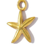 Charm MERN